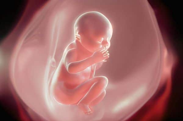 Crescimento embrionário - fase em que pode se desenvolver o coristoma.