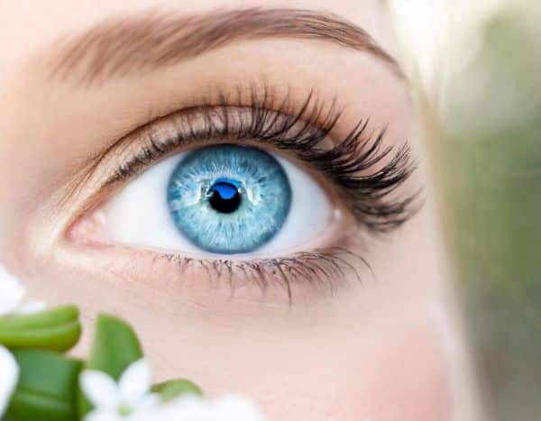 Close do olho azul de uma jovem próximo a algumas flores brancas. 